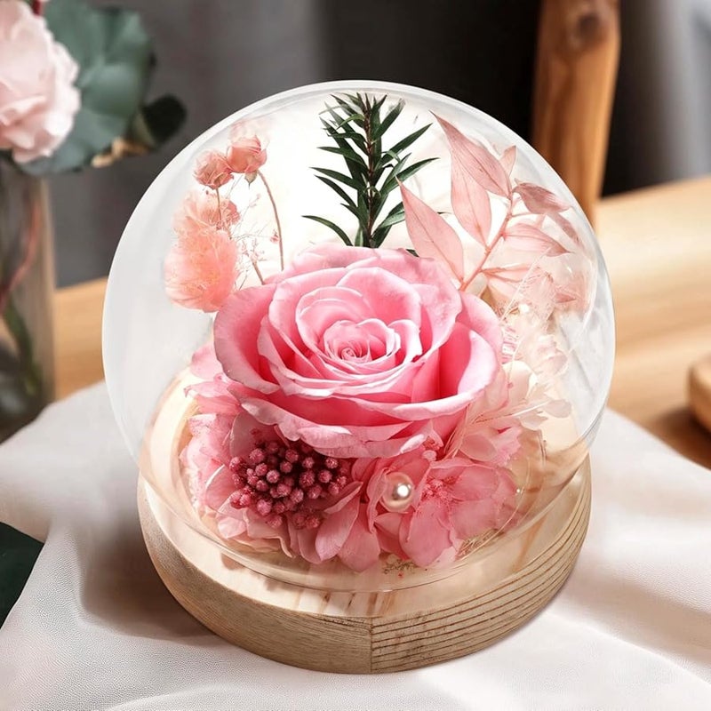 الورود الحمراء المحفوظة الأبدية في قبة زجاجية مع قاعدة خشبية لتزيين الزهور - Image 2